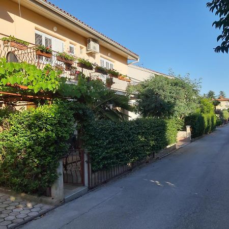 Studio Rocco Novigrad  Exterior photo