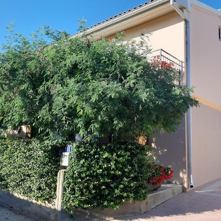 Studio Rocco Novigrad  Exterior photo