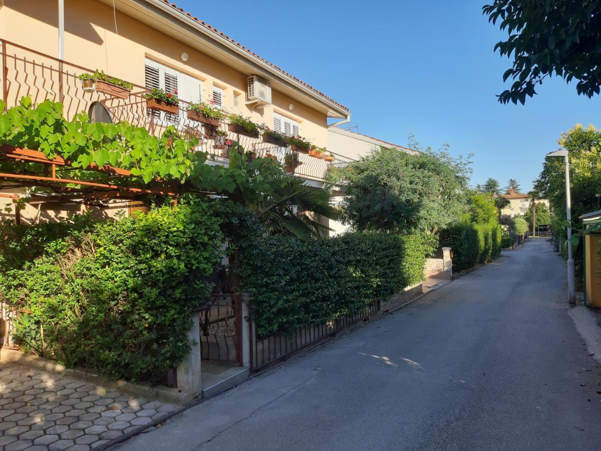 Studio Rocco Novigrad  Exterior photo