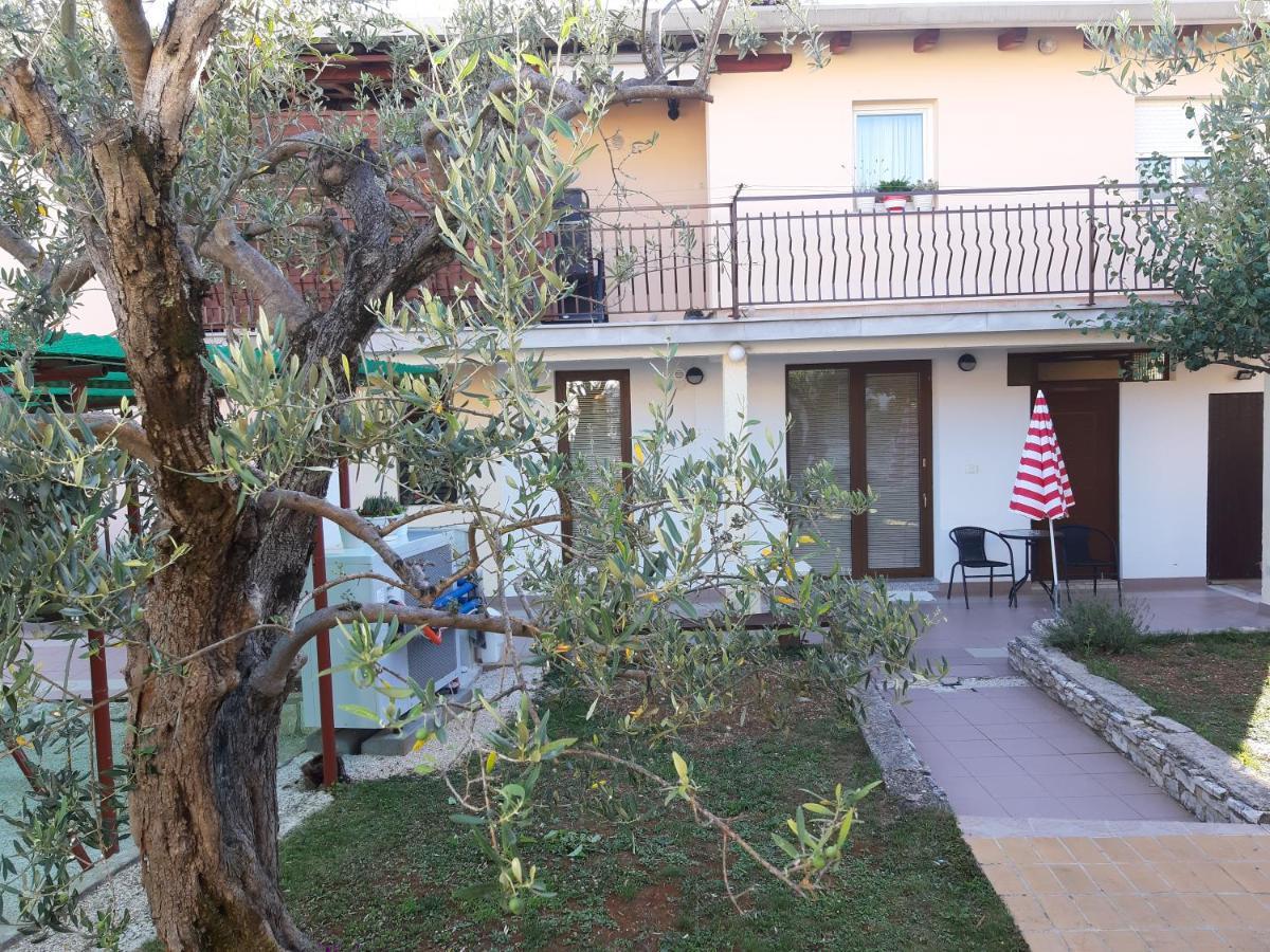 Studio Rocco Novigrad  Exterior photo