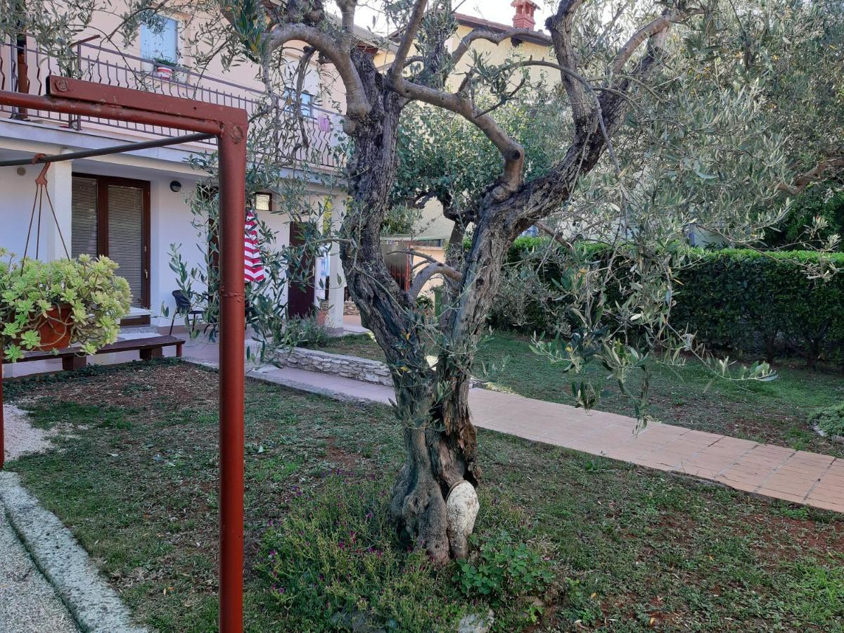 Studio Rocco Novigrad  Exterior photo
